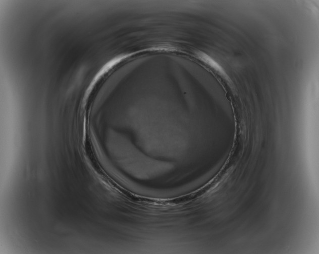 X0000086281323200704191938