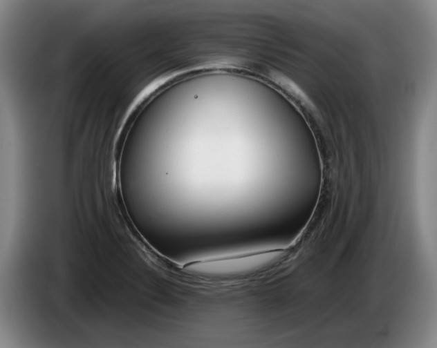 X0000086281324200704191938