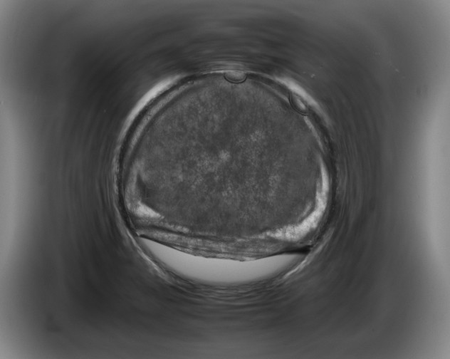 X0000086281325200704191938