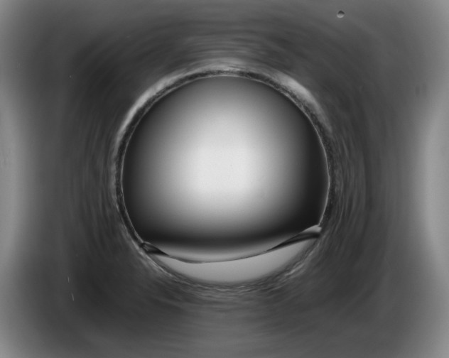 X0000086281326200704191938