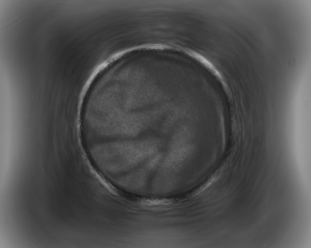 X0000086281327200704191938