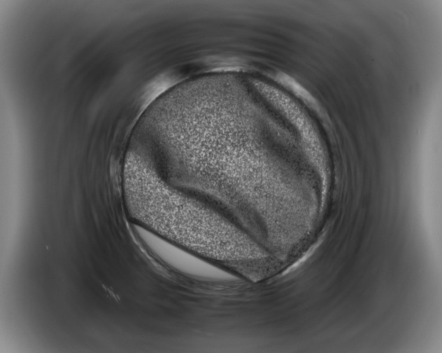 X0000086281329200704191938