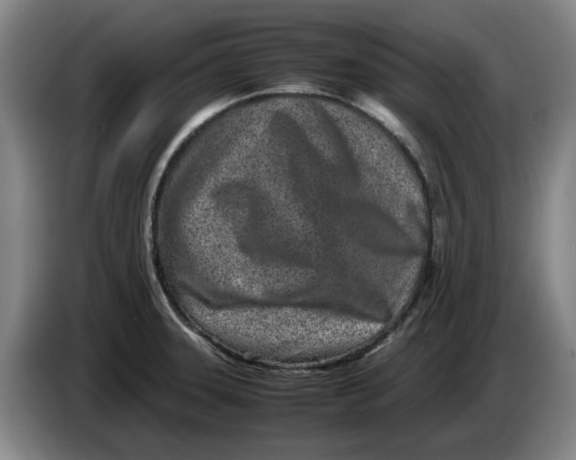 X0000086281331200704191938