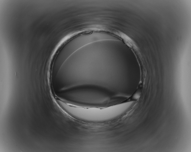 X0000086281334200704191938