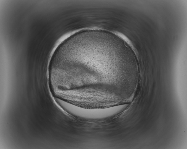 X0000086281335200704191938