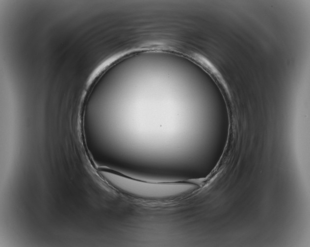 X0000086281336200704191938