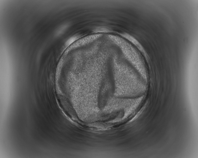 X0000086281337200704191938