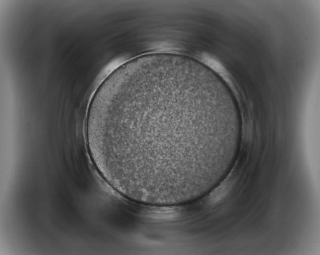 X0000086281338200704191938