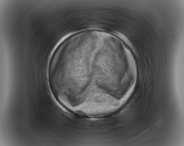 X0000086281339200704191938