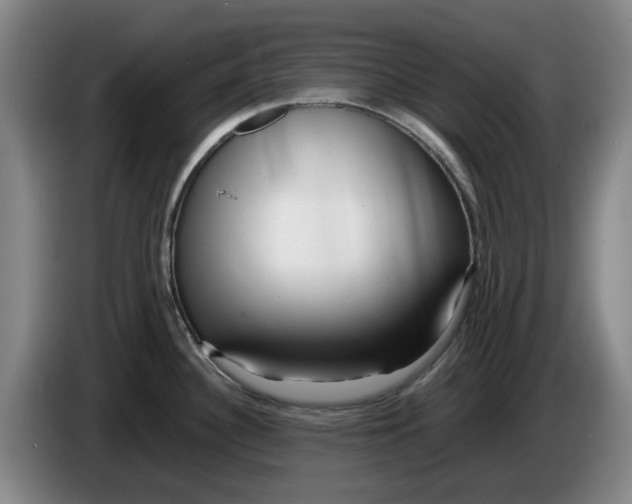 X0000086281340200704191938