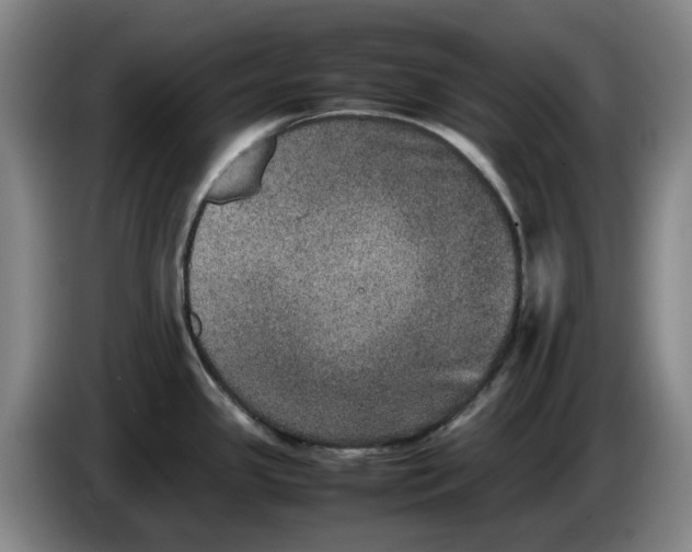 X0000086281341200704191938