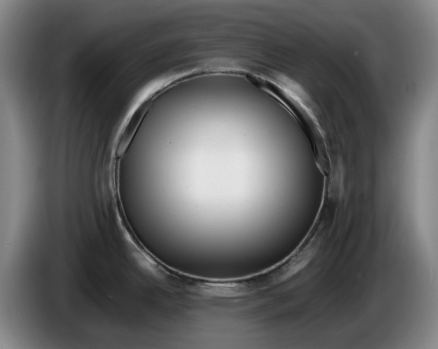 X0000086281342200704191938