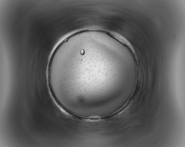 X0000086281343200704191938