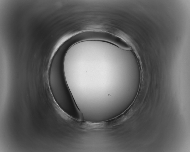 X0000086281344200704191938