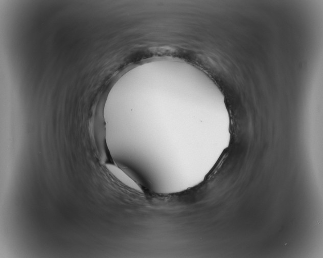 X0000086281345200704191937