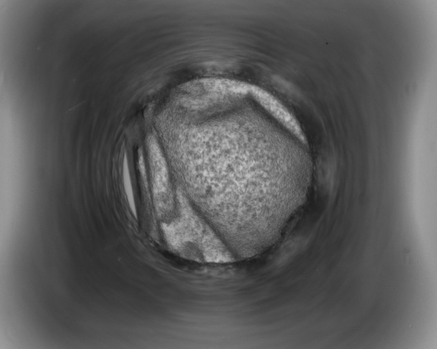 X0000086281346200704191937