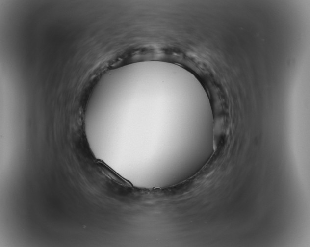 X0000086281349200704191937