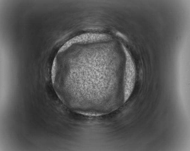 X0000086281350200704191937