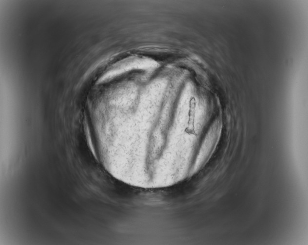 X0000086281351200704191937