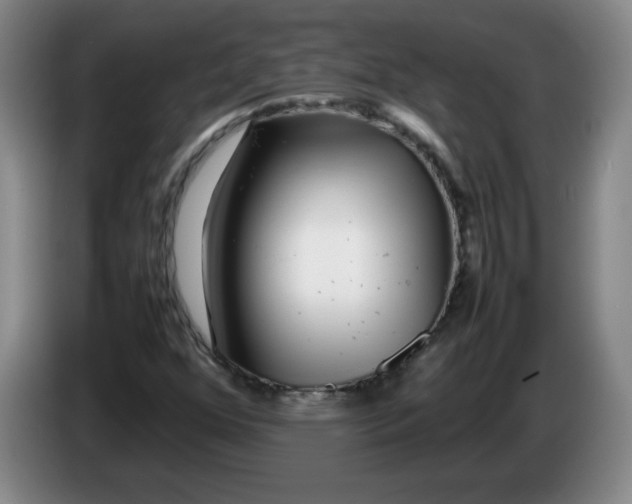 X0000086281352200704191937