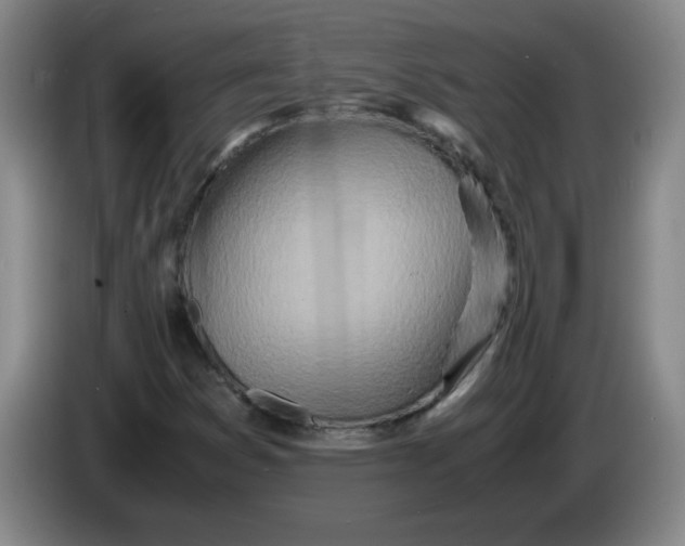 X0000086281353200704191937