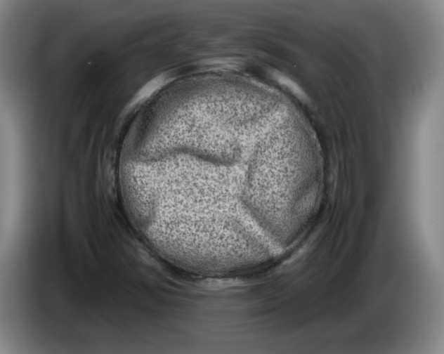 X0000086281354200704191937