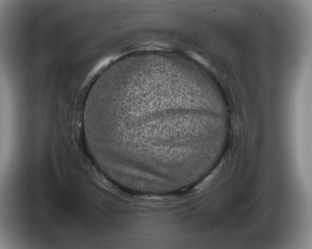 X0000086281355200704191937