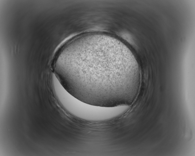 X0000086281356200704191937