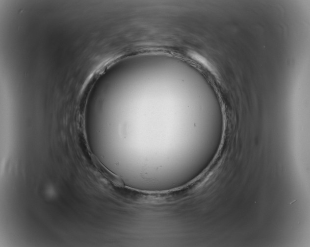 X0000086281357200704191937