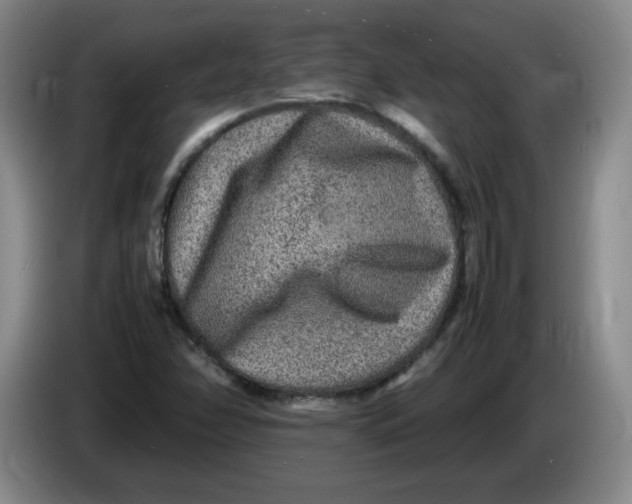 X0000086281358200704191937