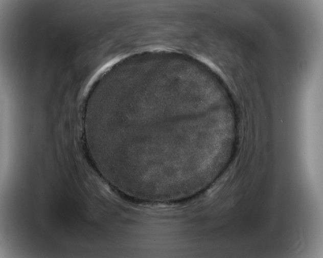 X0000086281359200704191937