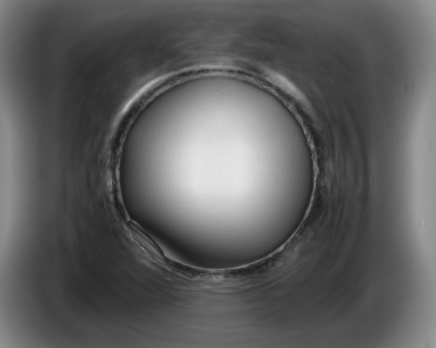 X0000086281360200704191937