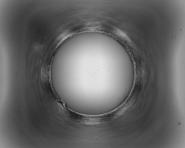 X0000086281361200704191937