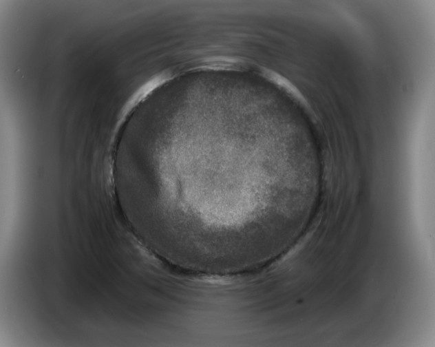 X0000086281362200704191937