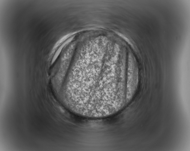 X0000086281363200704191937