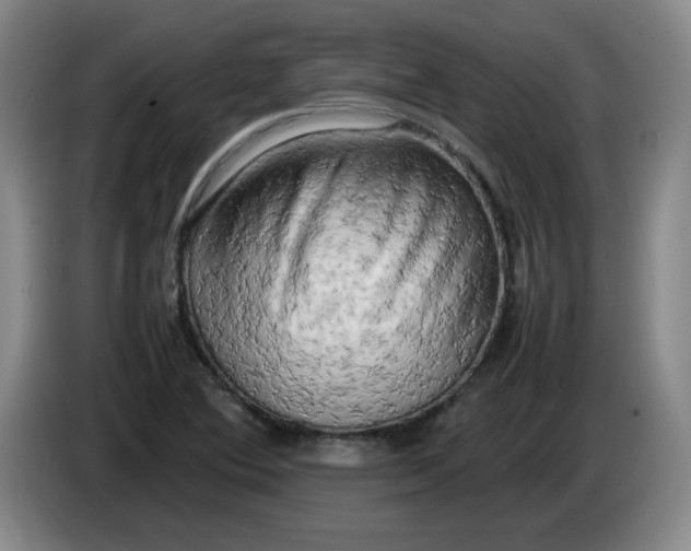 X0000086281364200704191937