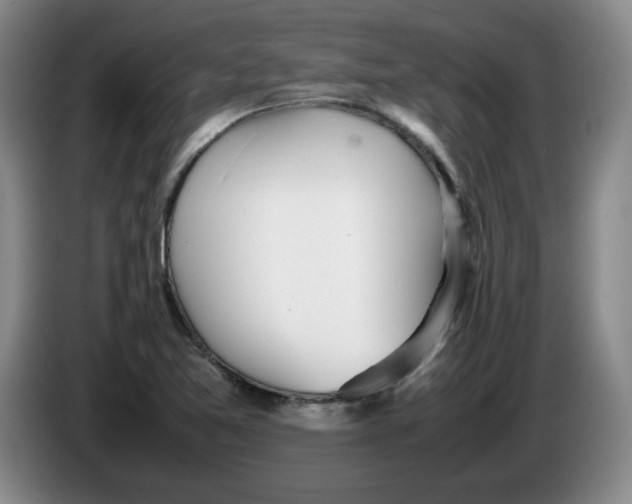 X0000086281365200704191937