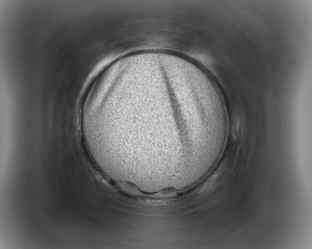 X0000086281366200704191937