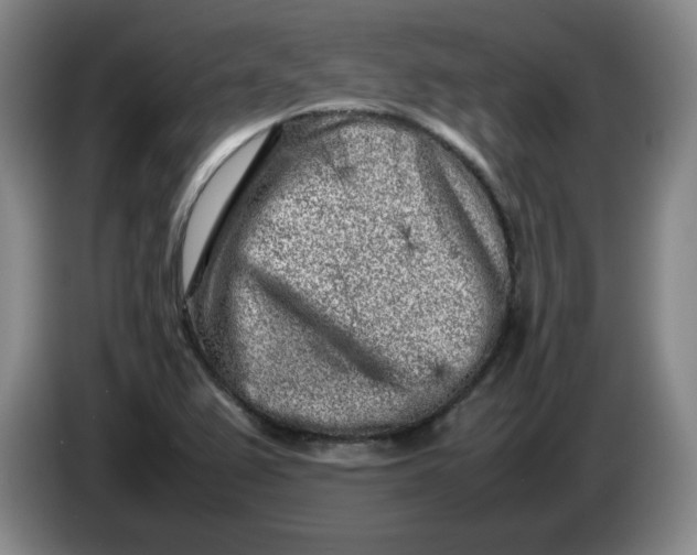 X0000086281367200704191937