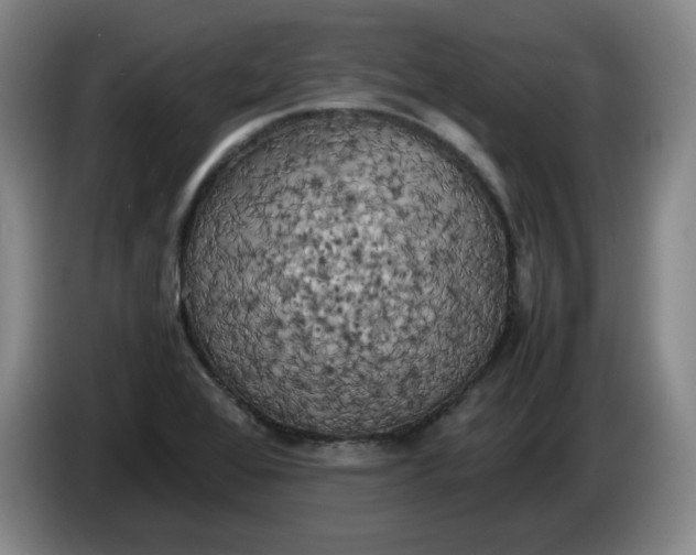 X0000086281368200704191937