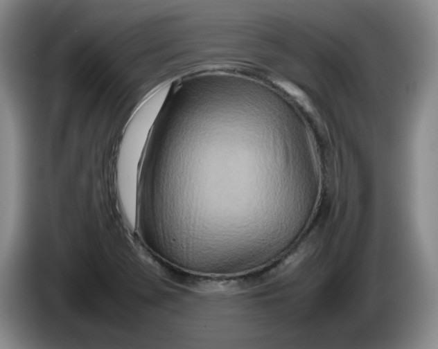 X0000086281369200704191937