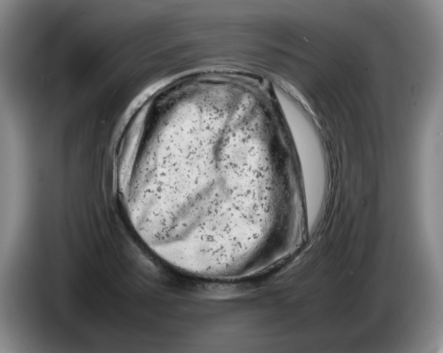 X0000086281371200704191937