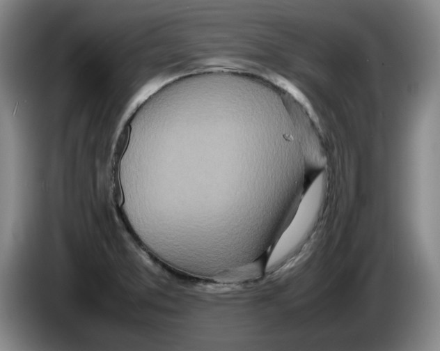 X0000086281373200704191937