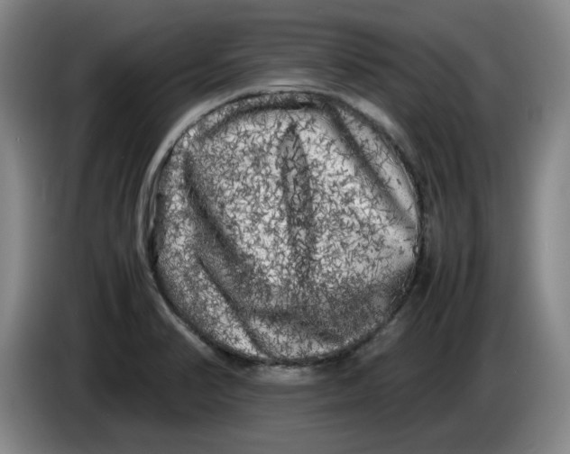 X0000086281374200704191937