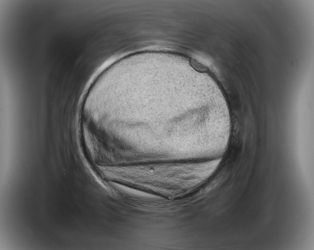 X0000086281375200704191937