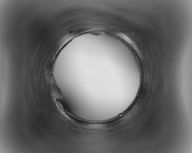 X0000086281377200704191937