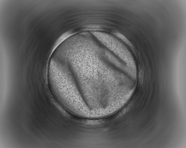 X0000086281378200704191937