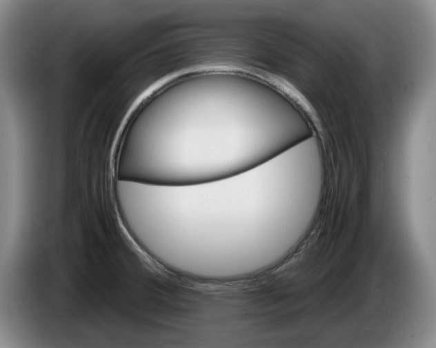 X0000086281380200704191937