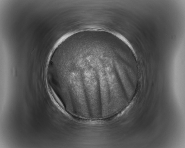 X0000086281381200704191937