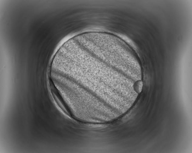 X0000086281382200704191937